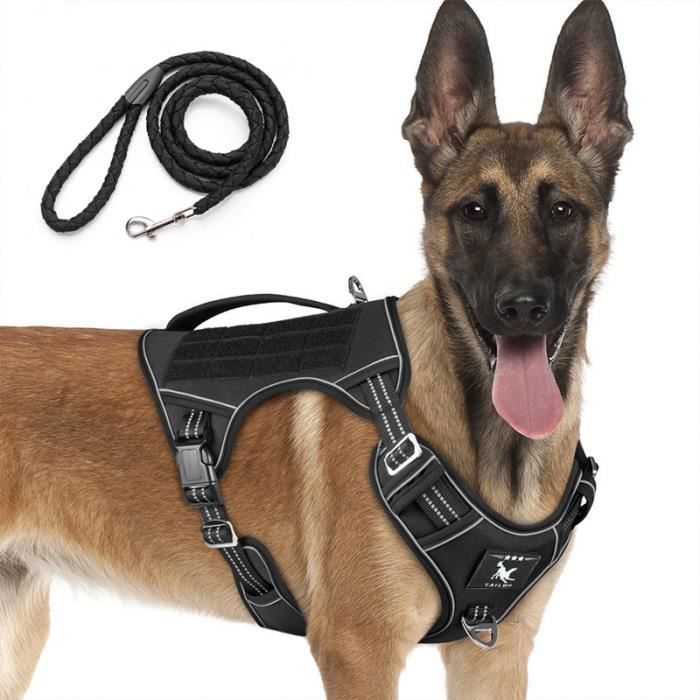 Harnais Chien Harnais Anti Traction pour Chien Réfléchissant Réglable Respirant Facile à Mettre avec Poignée Contrôle Bleu L Harnais Chien Harnais Anti Traction pour Chien Réfléchissant Réglable Respirant Facile à Mettre avec Poignée Contrôle Bleu L