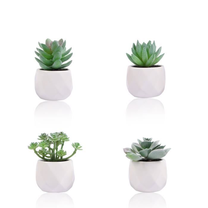 Lot De 5 Plantes Artificielles Miniatures - Aloès, Agave, Eucalyptus - Décoration Intérieur Bureau Et Maison