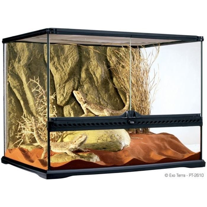 Terrarium 60x45x45cm Exo Terra Cdiscount Animalerie