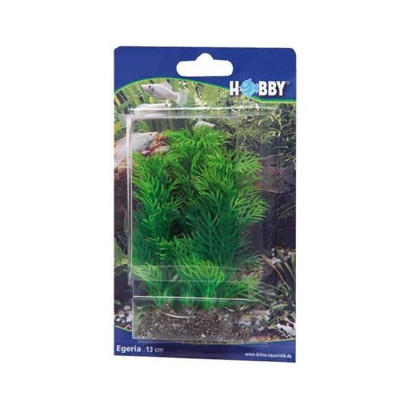 Plante artificielle Egeria 13cm