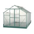 Serre de jardin - Structure en aluminium - Verte - 10,50 m2-1