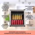 Mini frigo à boissons Klarstein Coachella 50 - 47 litres - Fonction WiFi Rétroéclairage - Argent-1