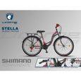 Licorne Bike Stella Premium City Bike 24,26 et 28 pouces – Vélo hollandais, Garçon [26, Anthracite]-3