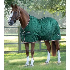 SULKY - ATTELAGE Couverture d'écurie pour cheval Premier Equine Tuscan 100 g - green - 152 cm