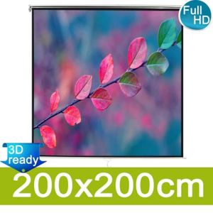 Toile Blanche Pour Projecteur Ecran Videoprojecteur Manuel Achat Vente Pas Cher