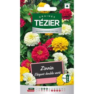 GRAINE - SEMENCE Sachet Graines - Tezier - Zinnia élégant double varié -- Fleurs annuelles - Sachet Fleurs - Fleurs annuelles à utiliser sur