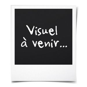 cartouche canon 580 581