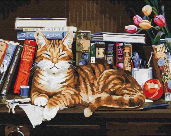 Kit 12 Toiles Pré-dessinées 8x8 Pouces Pour Peinture Adulte - Affrolling