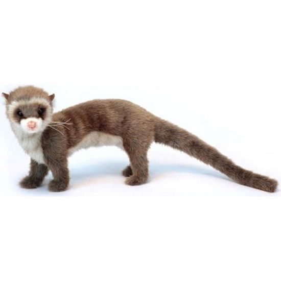 Peluche furet new arrivals