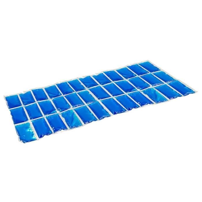 CAMPINGAZ Accumulateur de froid Flexi Freez'Pack - Taille L - 36 compartiments
