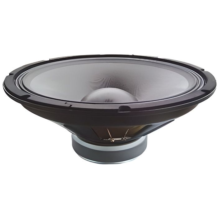 EW 15 EP Haut-Parleur 25 Cm 300 Watts RMS