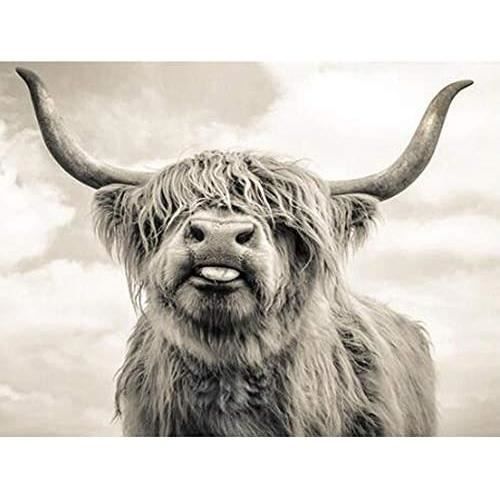 Analyste De Broderie Au Point De Croix Zodiac 12, Bricolage, Ensemble D'artisanat à Feuilles Grossières, Toile Imprimée En Fil De Coton, Décoration De La Maison, En Vente, Région 11CT