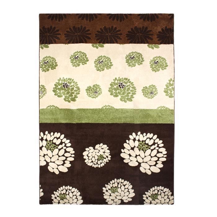 NATURE - Tapis Salon ou Chambre motifs fleurs 160 x 230 cm Marron/vert