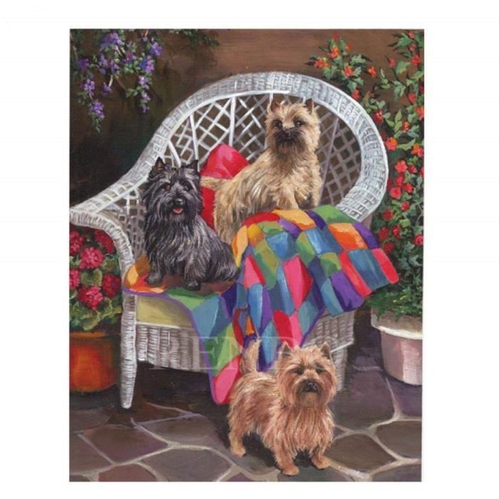 Pour Broderie 5d Diy Diamant Peinture Point De Croix Yorkshire Terrier Chien Nouveau Complet mosa/ïque kit D/écoration de La Maison 30x40 cm