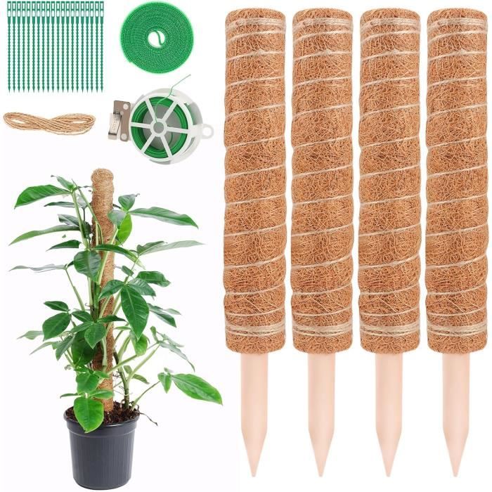 Support Plantes Grimpantes Lot De 4 Tuteurs Métal Noir 31cm - Supports Cœur Pour Plantes Grimpantes Intérieur/extérieur Supports Plantes Grimpantes 31cm