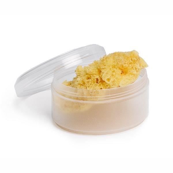 Suavinex Eponge Fibre Naturelle Petite Avec Boite Cdiscount Puericulture Eveil Bebe Suavinex Eponge Fibre Naturelle Petite Avec Boite Cdiscount Puericulture Eveil Bebe