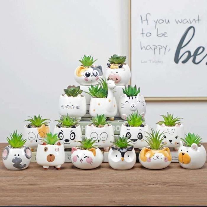 Bonsaï Orme Chinois - Kit Débutant Avec Pot Céramique, Soucoupe, Ciseaux - Arbre 25-35 Cm