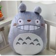 Peluche totoro