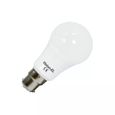 Ampoule LED B22 12W Ronde éclairage 100W Blanc Chaud (3000K) 73938 - Teinte de lumière: Blanc Chaud (3000K)-0