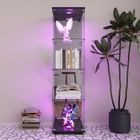 YLSZHYR Vitrine en Verre Miroir Led, Vitrine de collection avec serrure, 1 portes 4 étages Vitrine en verre pour collection, Noir