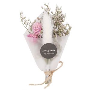Fleurs Séchées Herbe De Pampa - Lot De 12 Tiges 110-120 Cm, Blanc Naturel - Décoration Mariage, Maison, Style Bohème