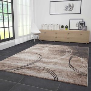 Tapis Salon 200x290 Marron Achat Vente Pas Cher