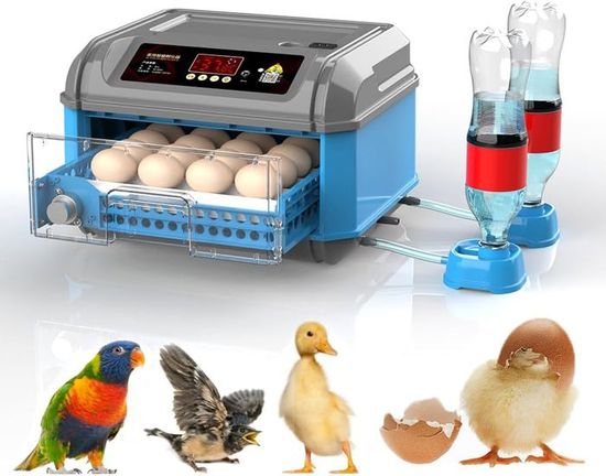 Couveuse Automatique 36 Œufs - Contrôle Température/Humidité, Retournement Auto, Modes Préprogrammés