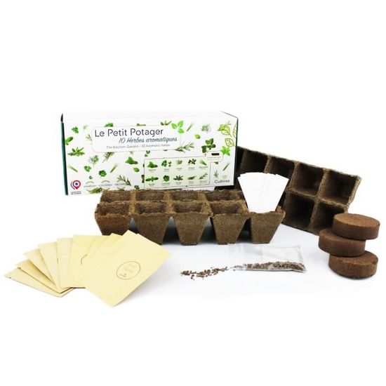 Kit First Bonsaï CULTIVEA – 2 Kits Prêts à Pousser (Cercis Chinensis) – Idée Cadeau Jardinage - 12
