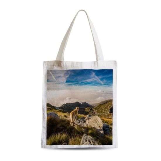 labrador maroquinerie