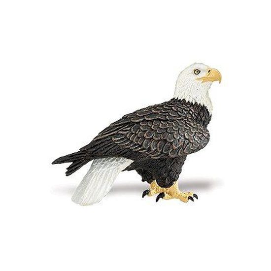PE00001014 12 x 'Aigle Chauve' 12 x Crayons de couleur longue 