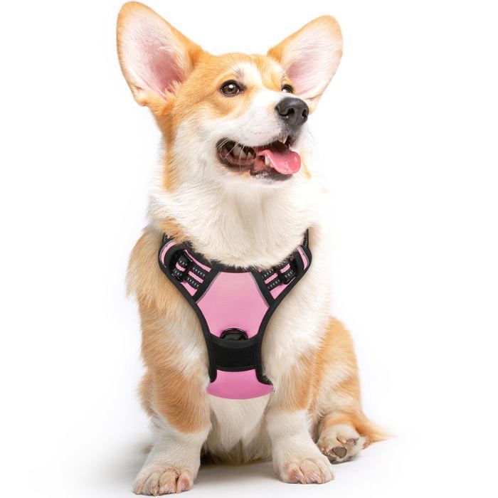 Harnais Chien Harnais Anti Traction pour Chien Réfléchissant Réglable Facile à Mettre avec Poignée Contrôle  Rose M