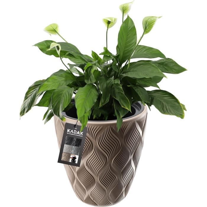 Grand Pot De Fleur Tymar Pot De Fleurs Avec Insert, Pot De Fleurs En Plastique, s, Forme Ronde, Aspect Ciseau, Intérieur Et Extérieur, Jardin, Balcon, Terrasse, Maison (blanc Haut, 19 Cm Pot