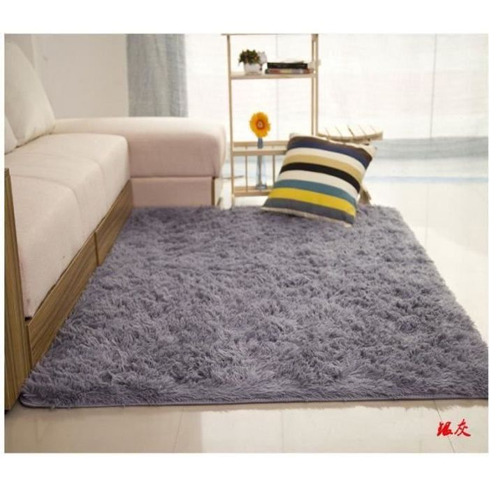 Tapis Salon Gris Argent