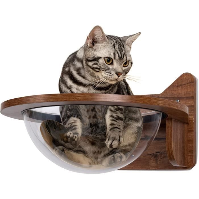 Meilleurs prix pour GOPLUS Capsule Murale pour Chat, Arbre à Chat Murale en Bois Solide, Design et Moderne, Charge 10 kg
