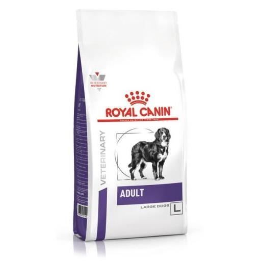 Royal Canin Nourriture Adult Large Dog 13 KG