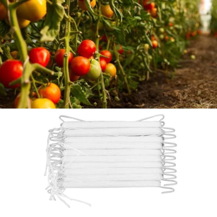 BOBOZHONG Lot De 100 Crochets En J Pour Tomates - Support Plantes Jardin 13cm - Blanc - Pour Tomates, Fraises, Vignes