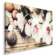 Décoration Murale Orchidées Zen 80x60 cm Artistique Photographie Impression sur Toile pour la Maison Salon-1