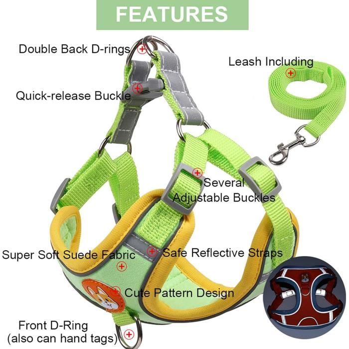 SlowTon Ensemble Harnais Et Laisse Pour Petit Chien, à Ajustement Rapide, Gilet Rembourré Avec Sécurité Et Bungee Ajustable SlowTon Ensemble Harnais Et Laisse Pour Petit Chien, à Ajustement Rapide, Gilet Rembourré Avec Sécurité Et Bungee Ajustable