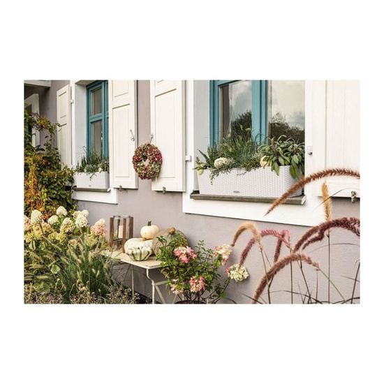 Pot de Fleurs d'Extérieur et d'Intérieur Cottage Trio Réserve d'Eau Intégrée Coloris Blanc 100 x