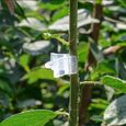 Tuteur Plante,Mini Clips de greffage en plastique,50 pièces-paquet,Support pour plantes,semis,Clip de greffage [E665527192]-3