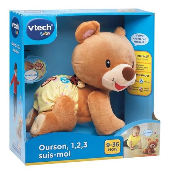 ourson marche a 4 pattes