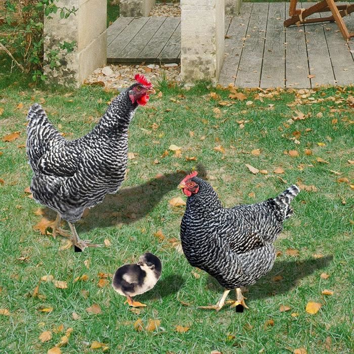 Lot 3 poules décoratives en cuir