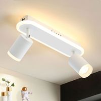 Homefire Plafonnier 2 Spots Blanc - GU10 + 11W LED orientable 330°moderne 3000K blanc chaud en métal Spots de plafond