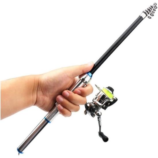 Mini Canne à Pêche Télescopique En Forme De Poisson - Stylo Pêche Avec Moulinet Réglable - Idéal Voyage
