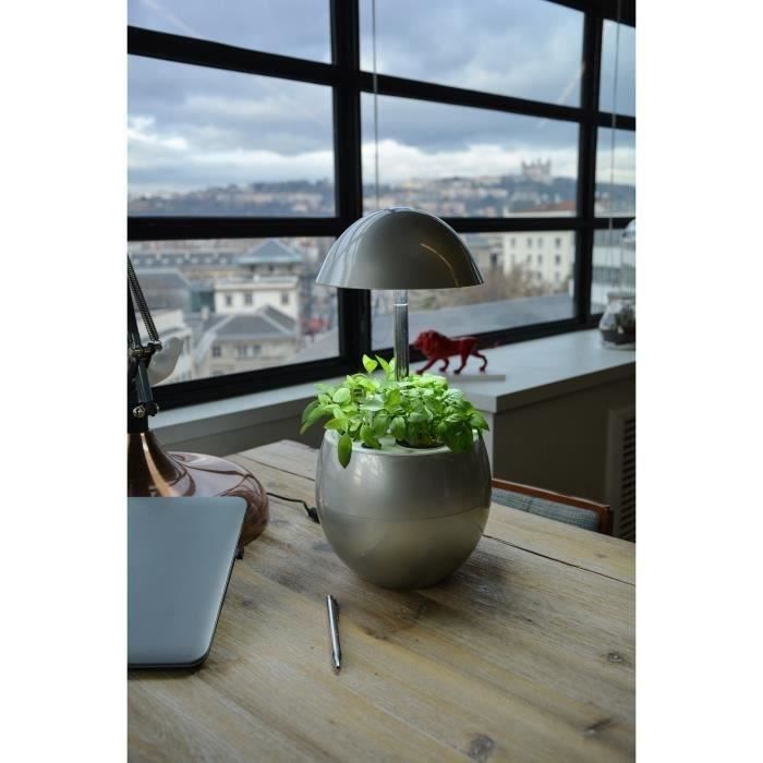 Kg By Vilmorin Jardin D Interieur Vilma Trio De Basilic En Sachet De Semences Offerts Achat Vente Jardin Miniature Vilma Semences Offertes Cdiscount