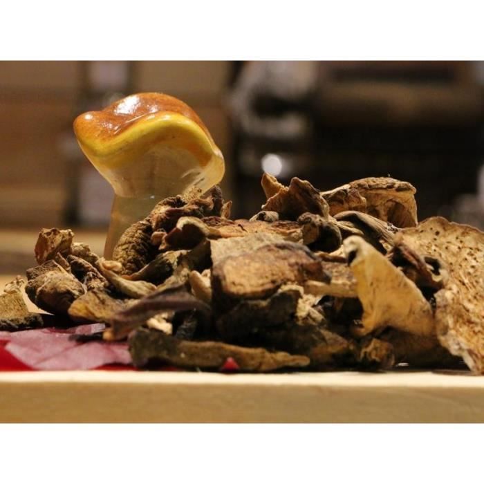 CEPES SECHES
