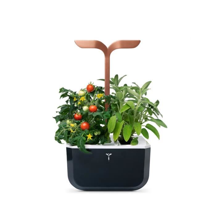 Exky Smart Copper De Veritable Jardin D Interieur Made In France Elu Produit De L Annee 2020 Achat Vente Kit De Culture Potager Exky Smart Copper Cdiscount