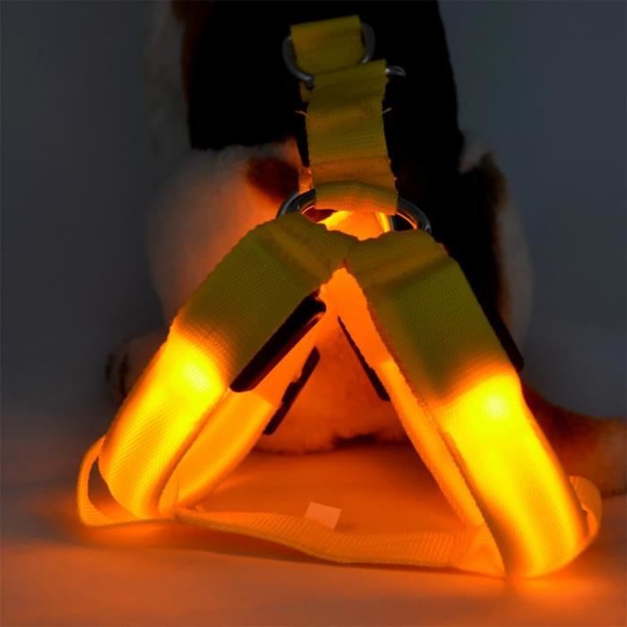 Harnais Lumineux Pour Chien Avec Support Airtag - LED 4 Modes 7 Couleurs, Léger, Respirant, Taille M Rose Vif