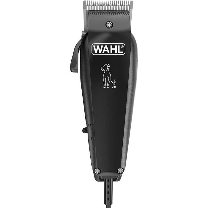 tondeuse wahl chien