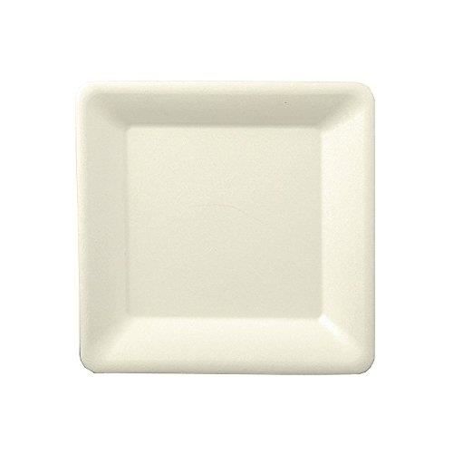 Wisefood Lot De 100 Assiettes En Canne à Sucre - Jetables Carrées 16 Cm Carton Idéales Comme Fête Ou Plates Vaisselle Biodégradable